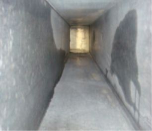 �͟��ܵ���ϴ��ʲôҎ��