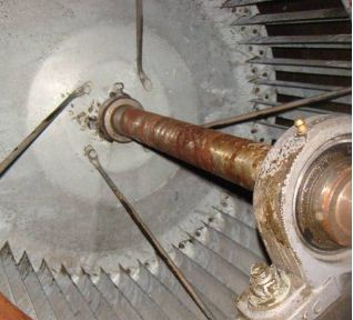 �L�C���͟��ܵ���ϴ����