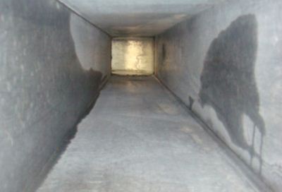 ���͟��ܵ��ķN��ϴ������B  ����